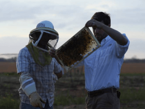 east-hill-honey East Hill Honey, a Florida SBDC at UWF success story